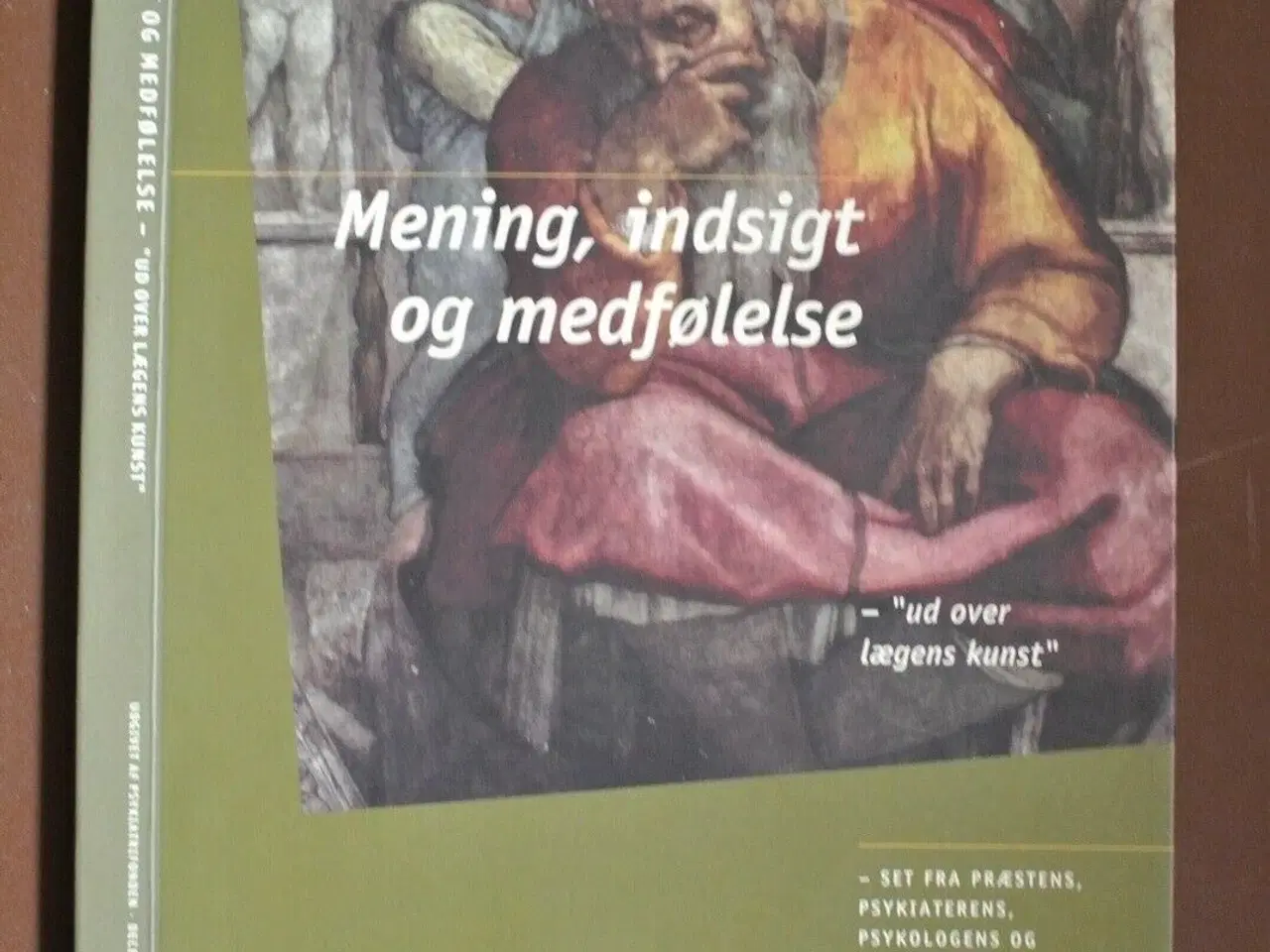 Billede 1 - mening, indsigt og medfølelse ud over lægens kunst