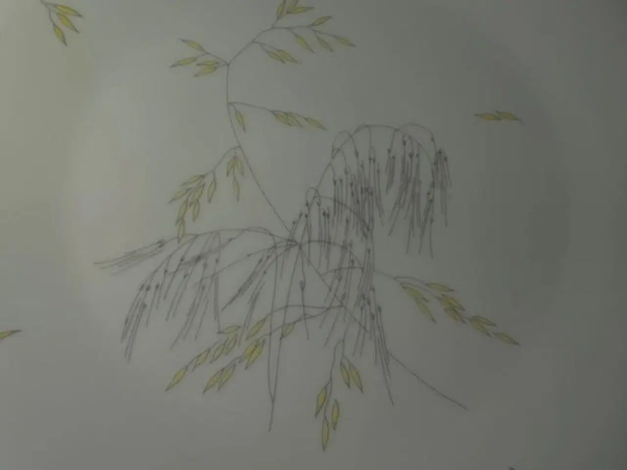 Billede 6 - Tallerkener