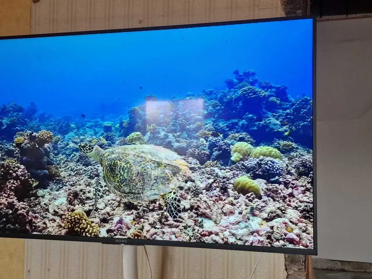 Billede 8 - Sony Bravia 4K 55" Android Smart tv. 