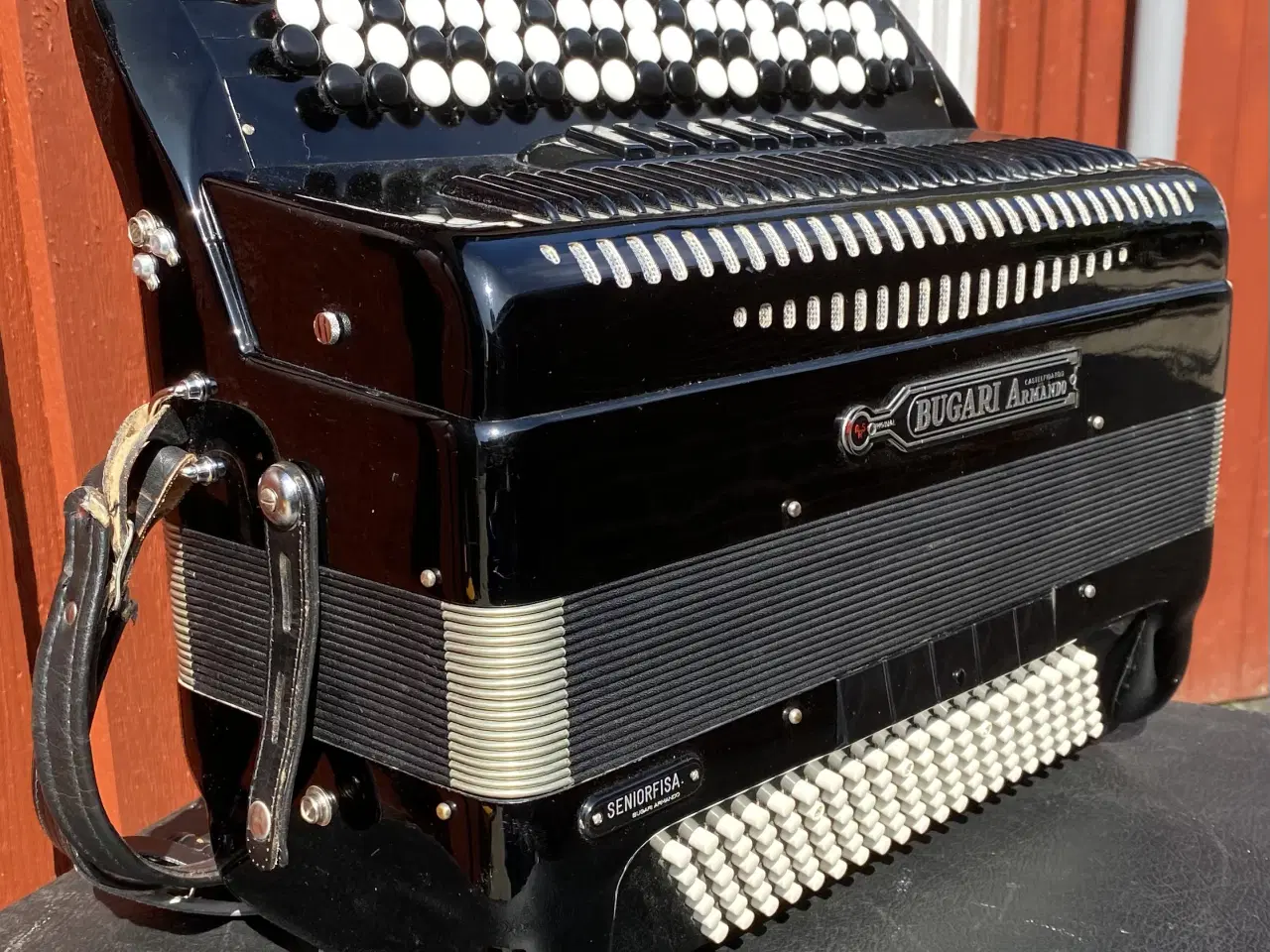 Billede 1 - Bugari Armando Seniorfisa Special – Topklasse 