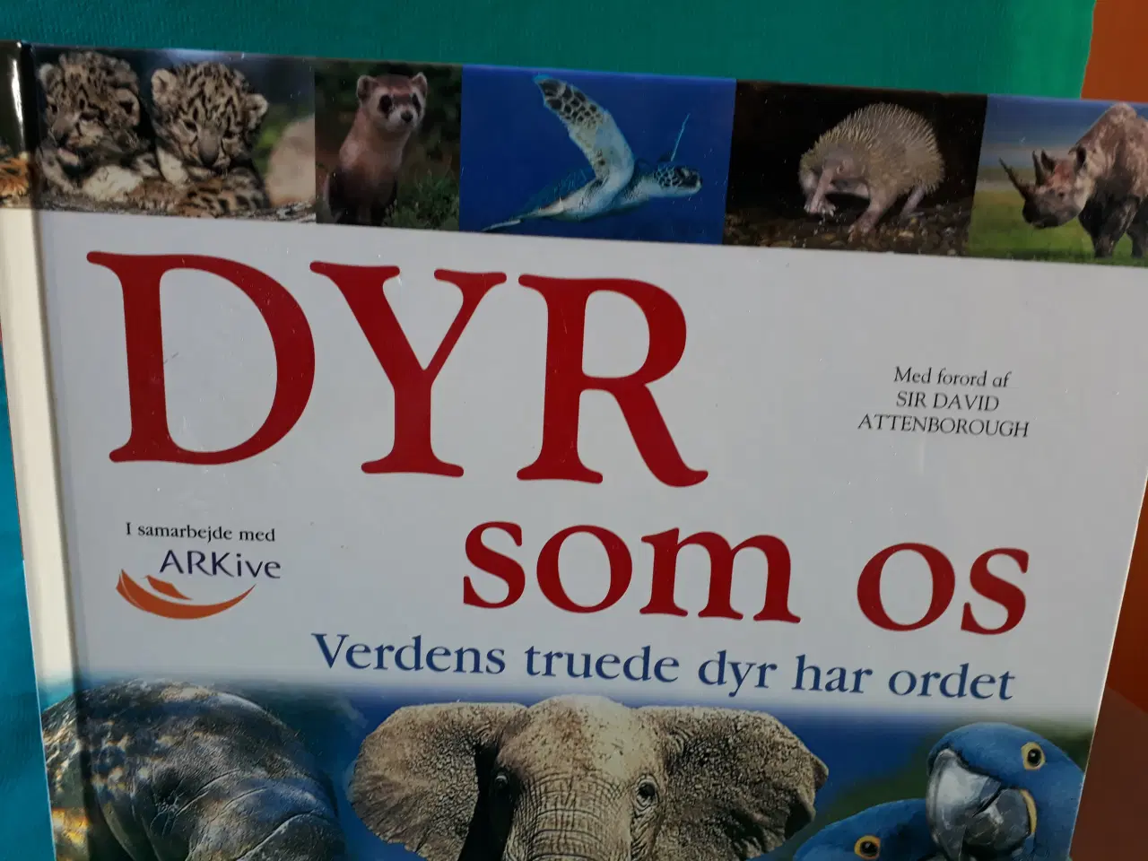 Billede 4 - Dyr som os - Bog