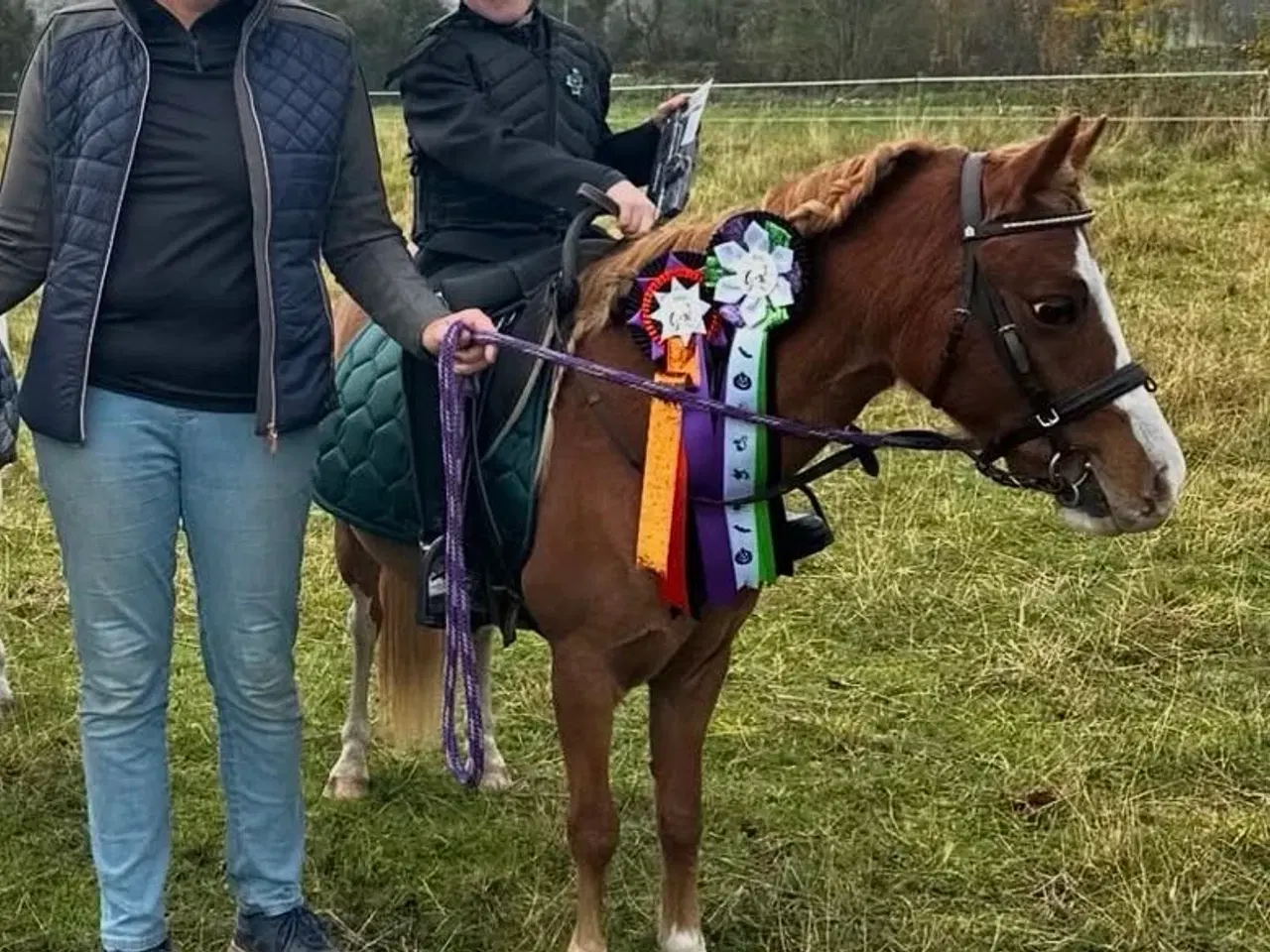 Billede 3 - Børne ponyen 