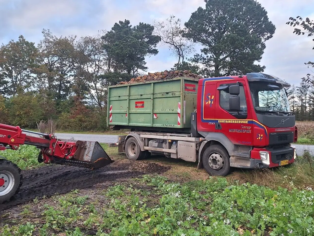 Billede 3 - Roer/foderroer