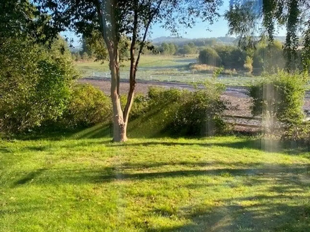 Billede 1 - Høst hø til eget forbrug på 1,5 ha