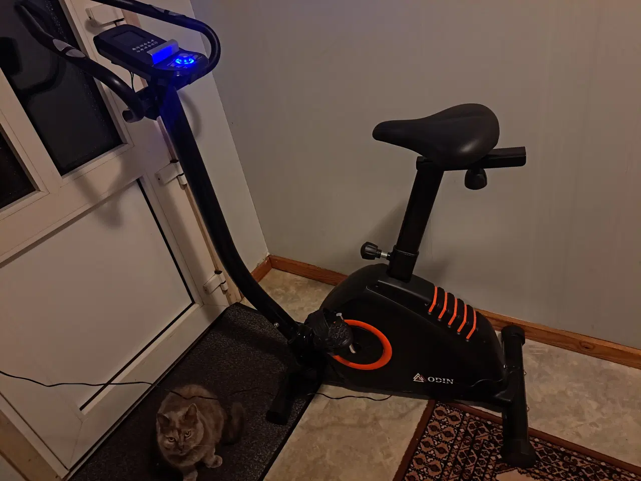 Billede 1 - odin motionscykel