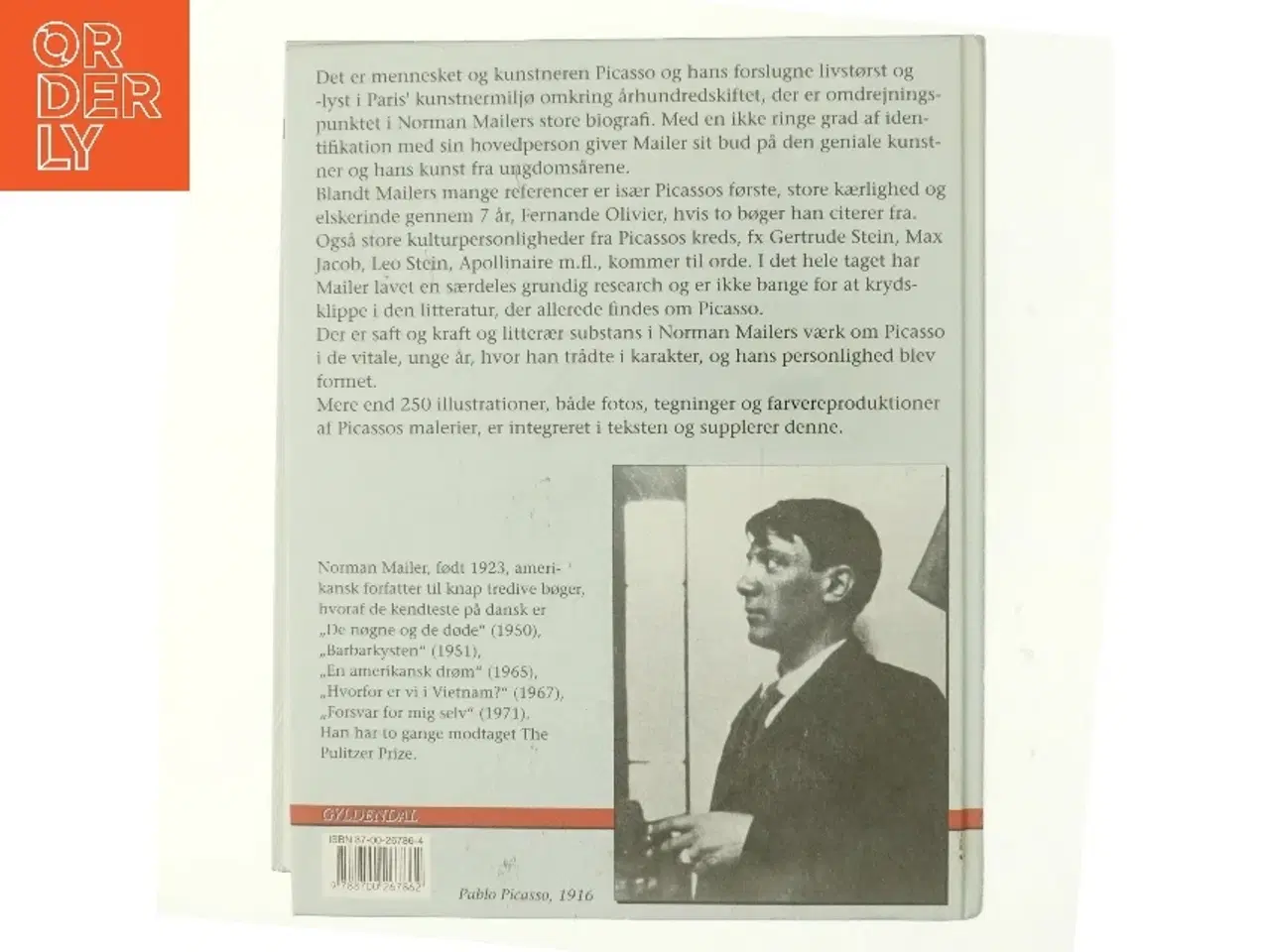 Billede 3 - Portræt af den unge Picasso : en biografi af Norman Mailer (Bog)