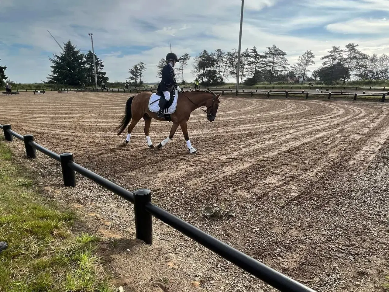 Billede 5 - børnepony /Næsten begynder pony / bytte