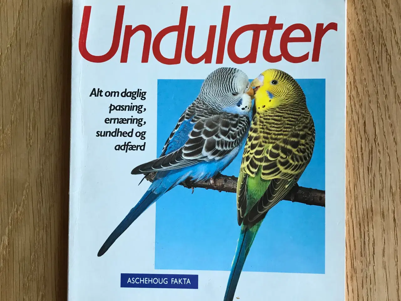 Billede 1 - Undulater  af Annette Wolter