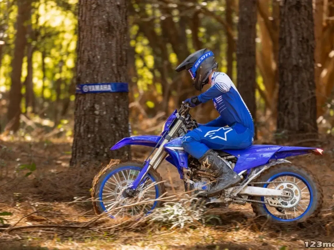 Billede 2 - Yamaha WR 250 F