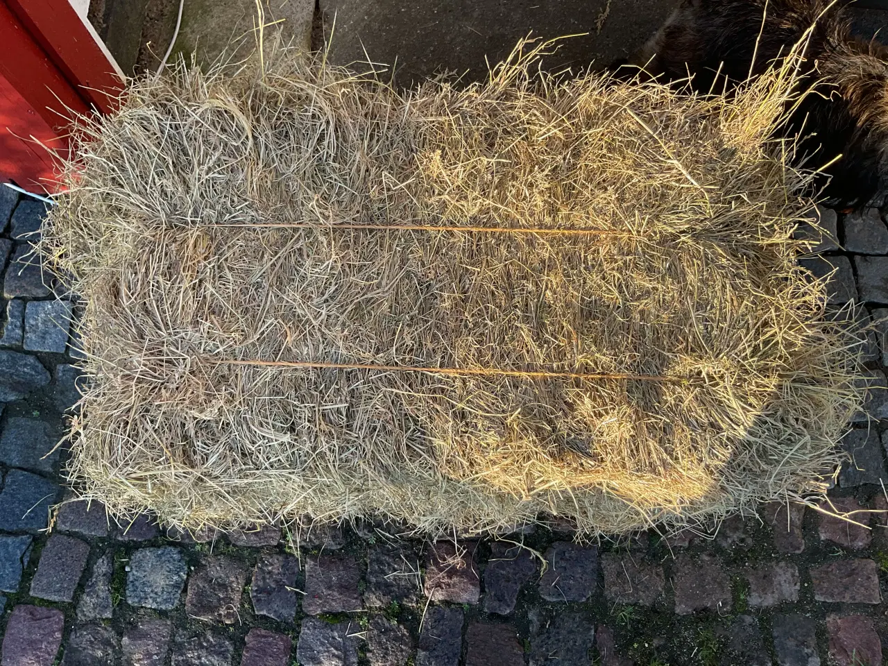 Billede 2 - Hø, Morten Korch 