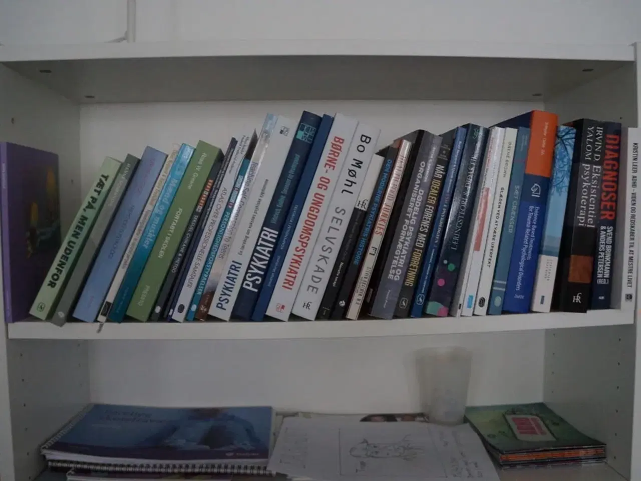 Billede 2 - 2 stk. Reoler med indhold af diverse fagbøger
