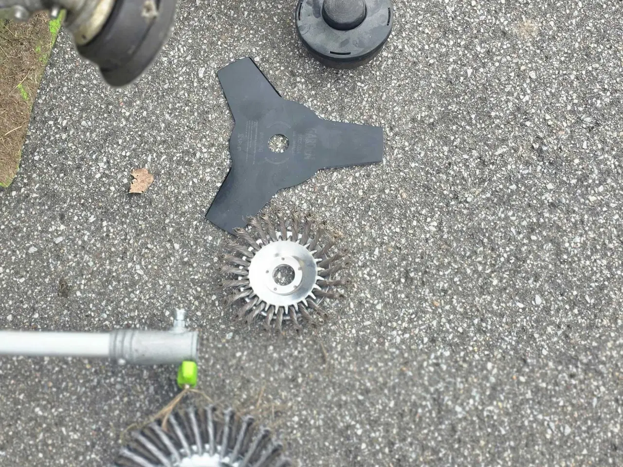 Billede 4 - Buskrydder 