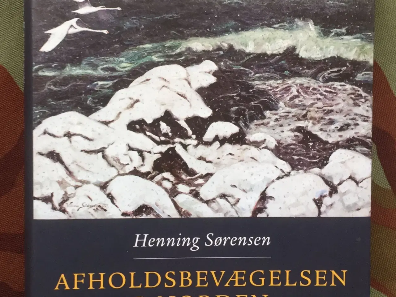 Billede 1 - Henning Sørensen: Afholdsbevægelsen i Norden.