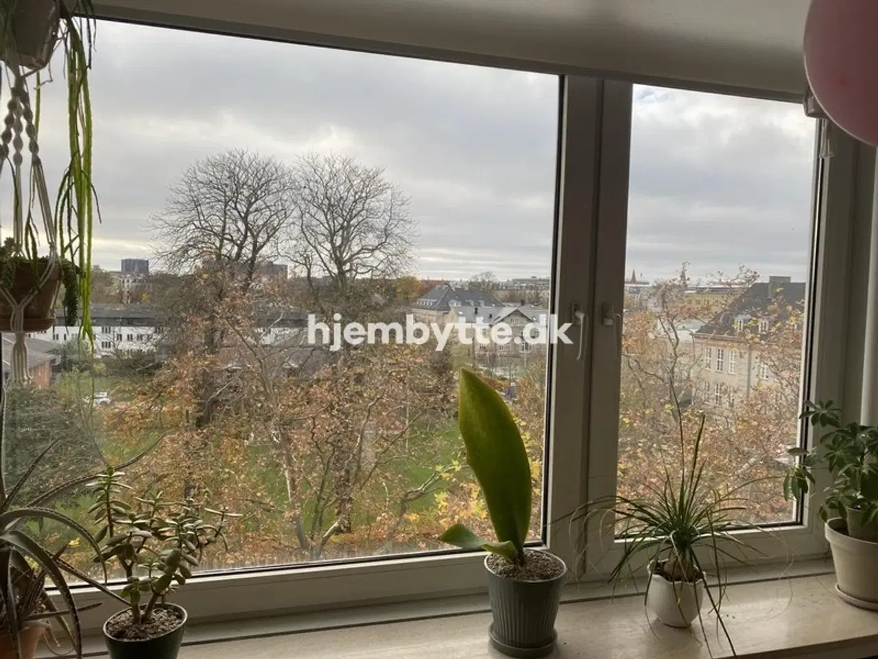Billede 1 - Hjembytte - Næstvedgade