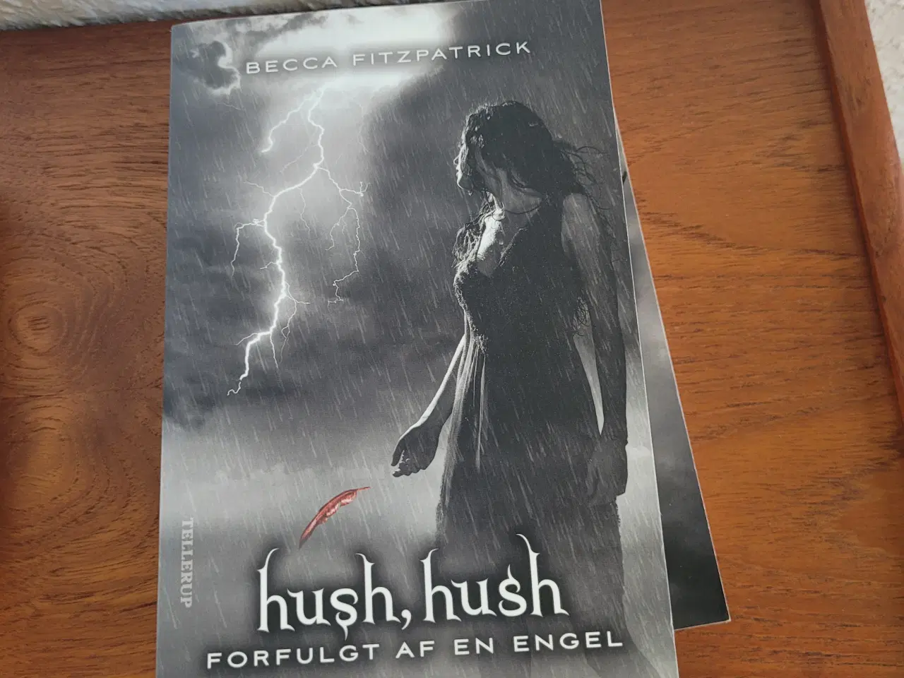 Billede 3 - Bogserie: Hush Hush nr. 1-4