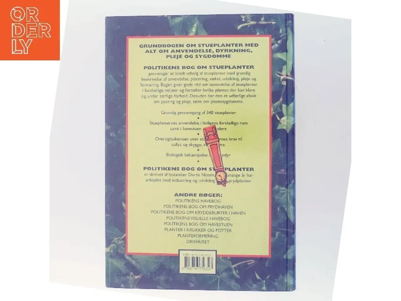 Billede 3 - Politikens Bog om Stueplanter af Dorte Nissen (Bog)