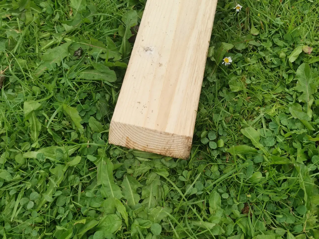 Billede 2 - Afhøvlet brædde 3 m. 10 kr ialt🌸