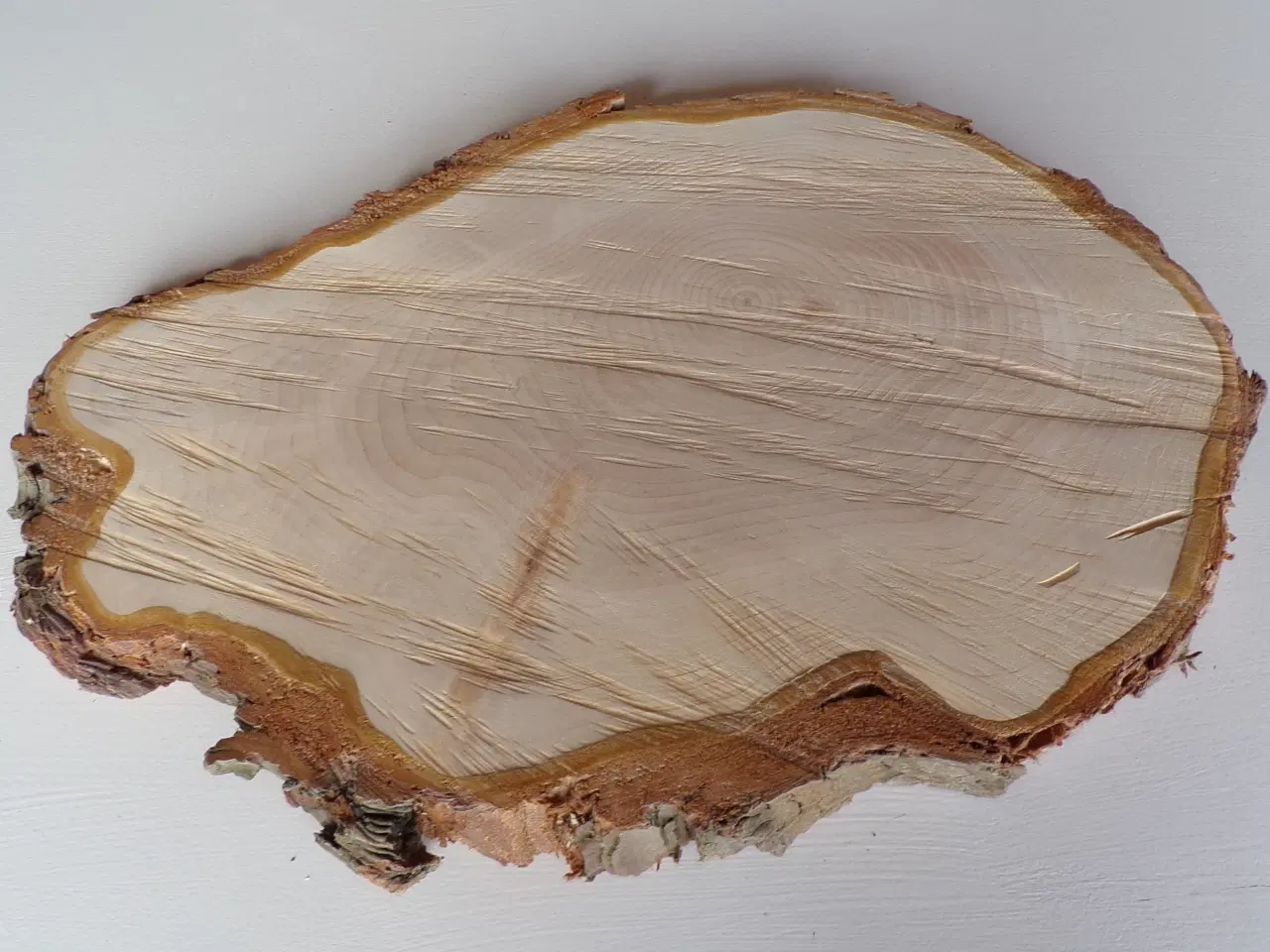 Billede 1 - NY Thuja Træskive med bark 40 cm lang