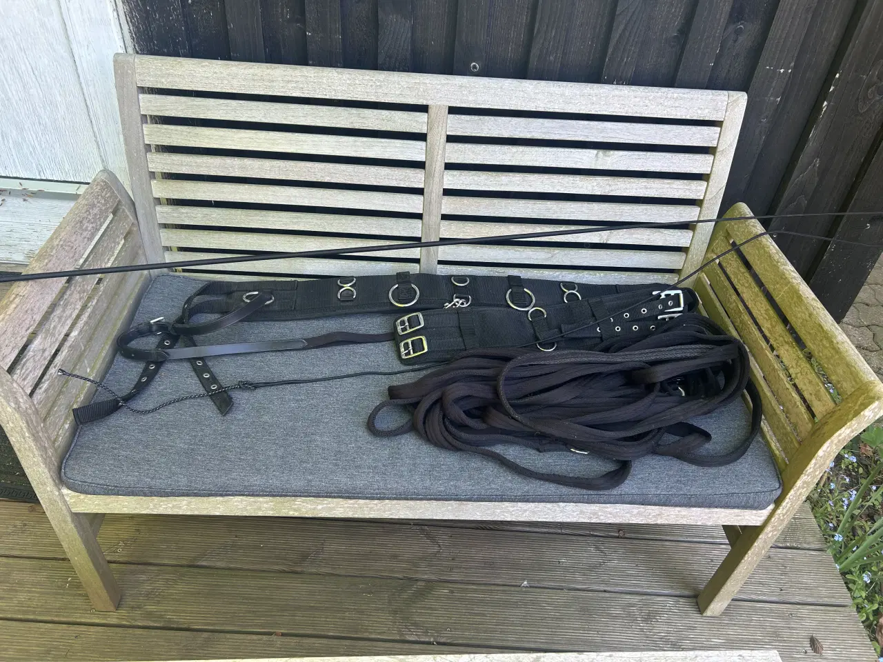 Billede 1 - Longering gjord-pisk-longe str pony