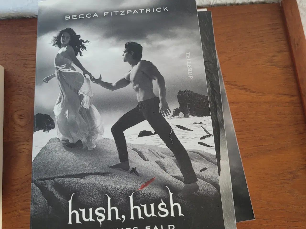 Billede 4 - Bogserie: Hush Hush nr. 1-4