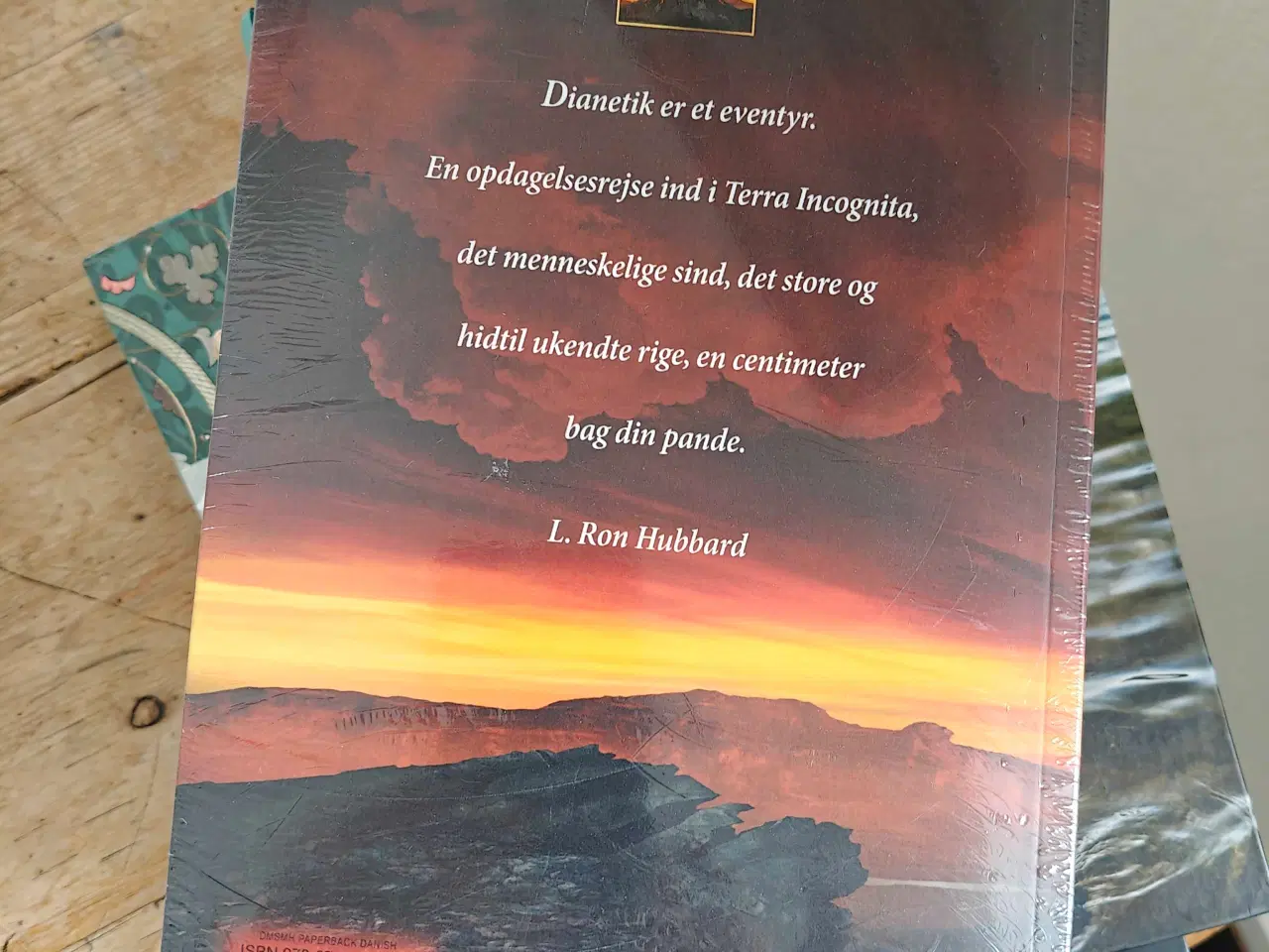 Billede 2 - Disnetik- sind og krop