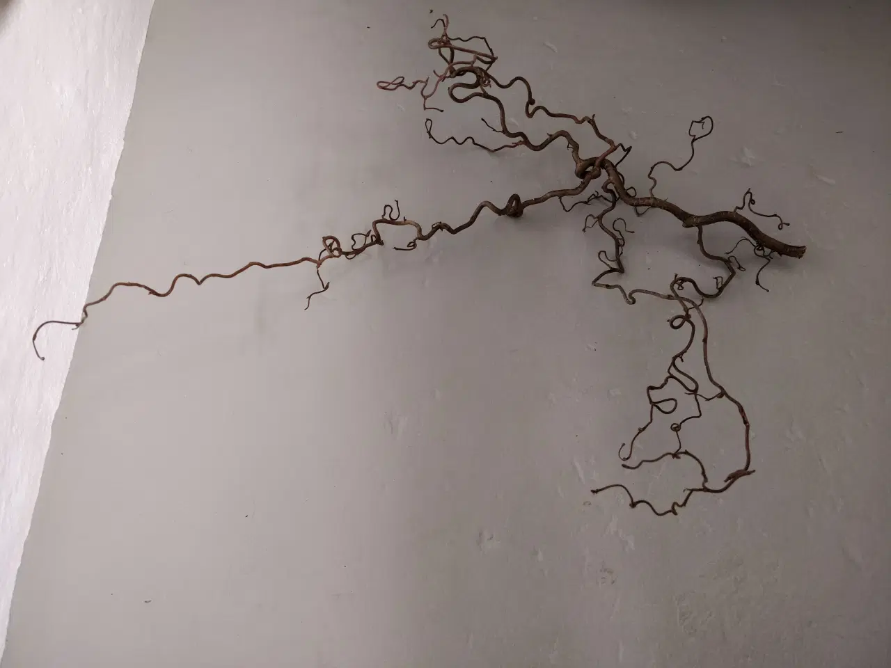 Billede 2 - Troldegren