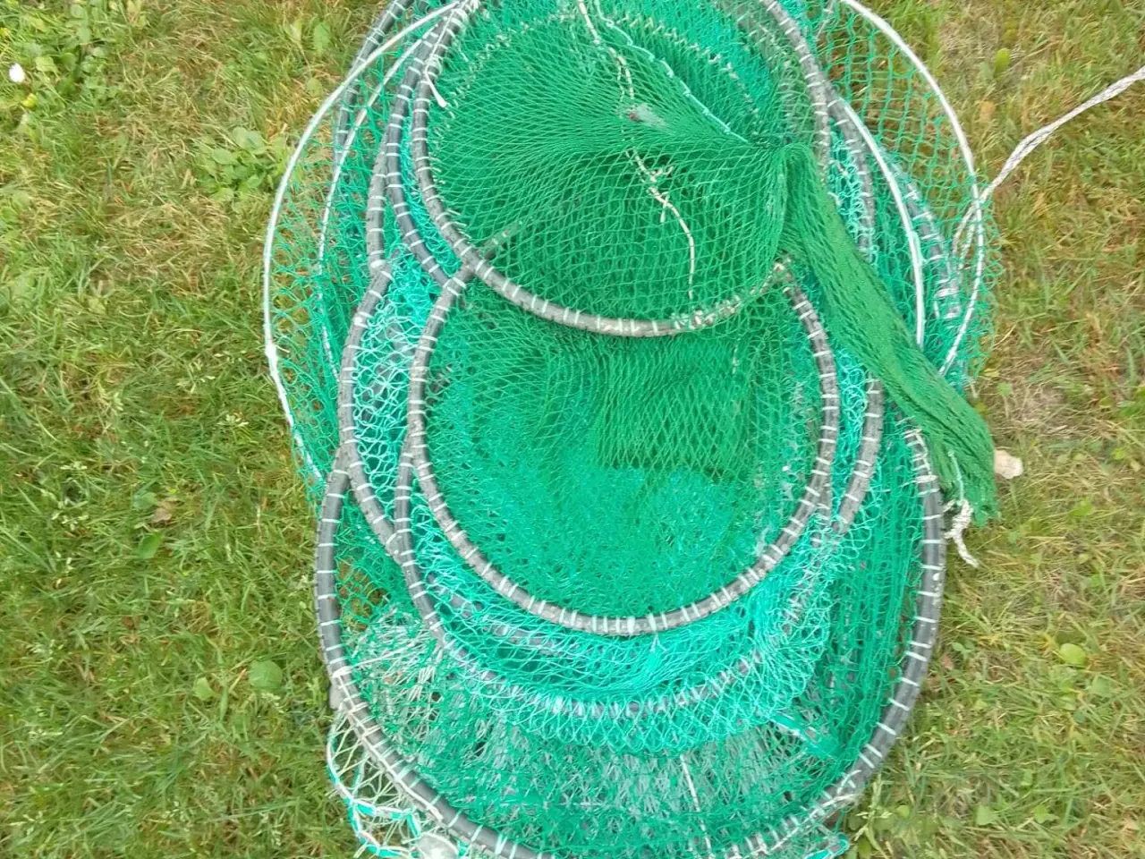 Billede 1 - Ruse rog rusebøjler.
