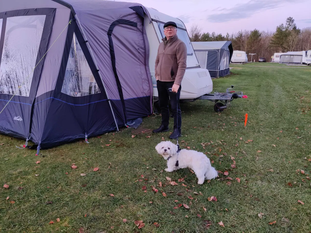 Billede 3 - Rejsefortelt  Camp Out
