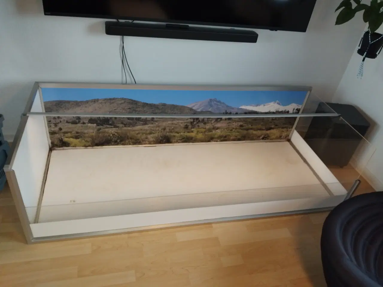 Billede 1 - Stort terrarie