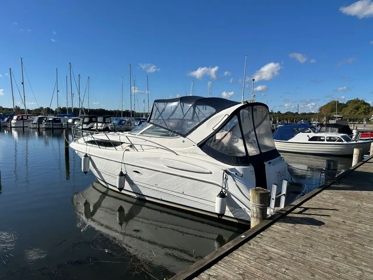 Billede 2 - Bayliner 3055 – 2 x nyrenoverede MerCruiser 5.0 (7