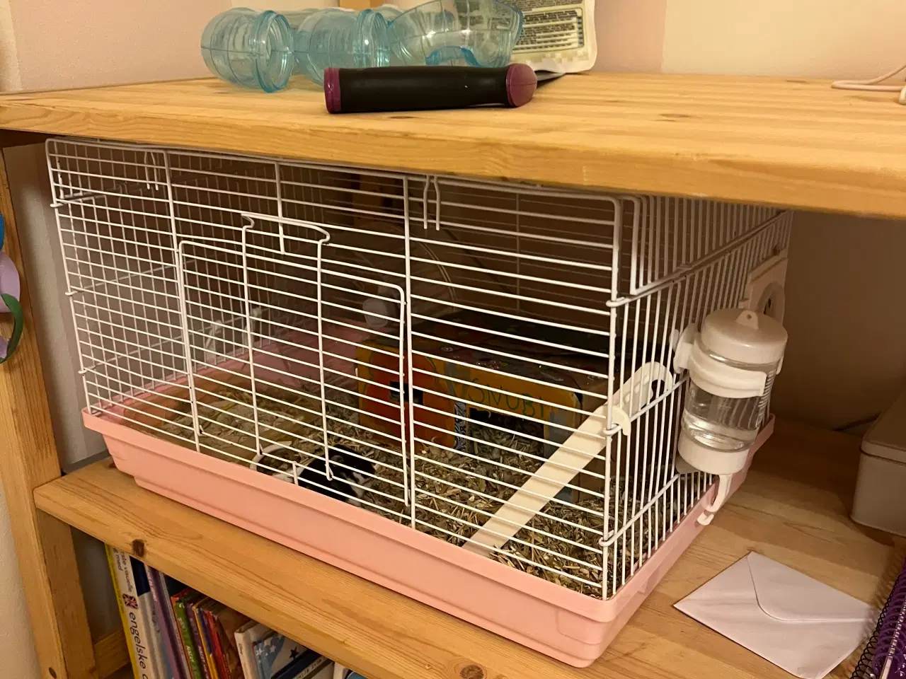 Billede 4 - Hun dværg hamster sælges