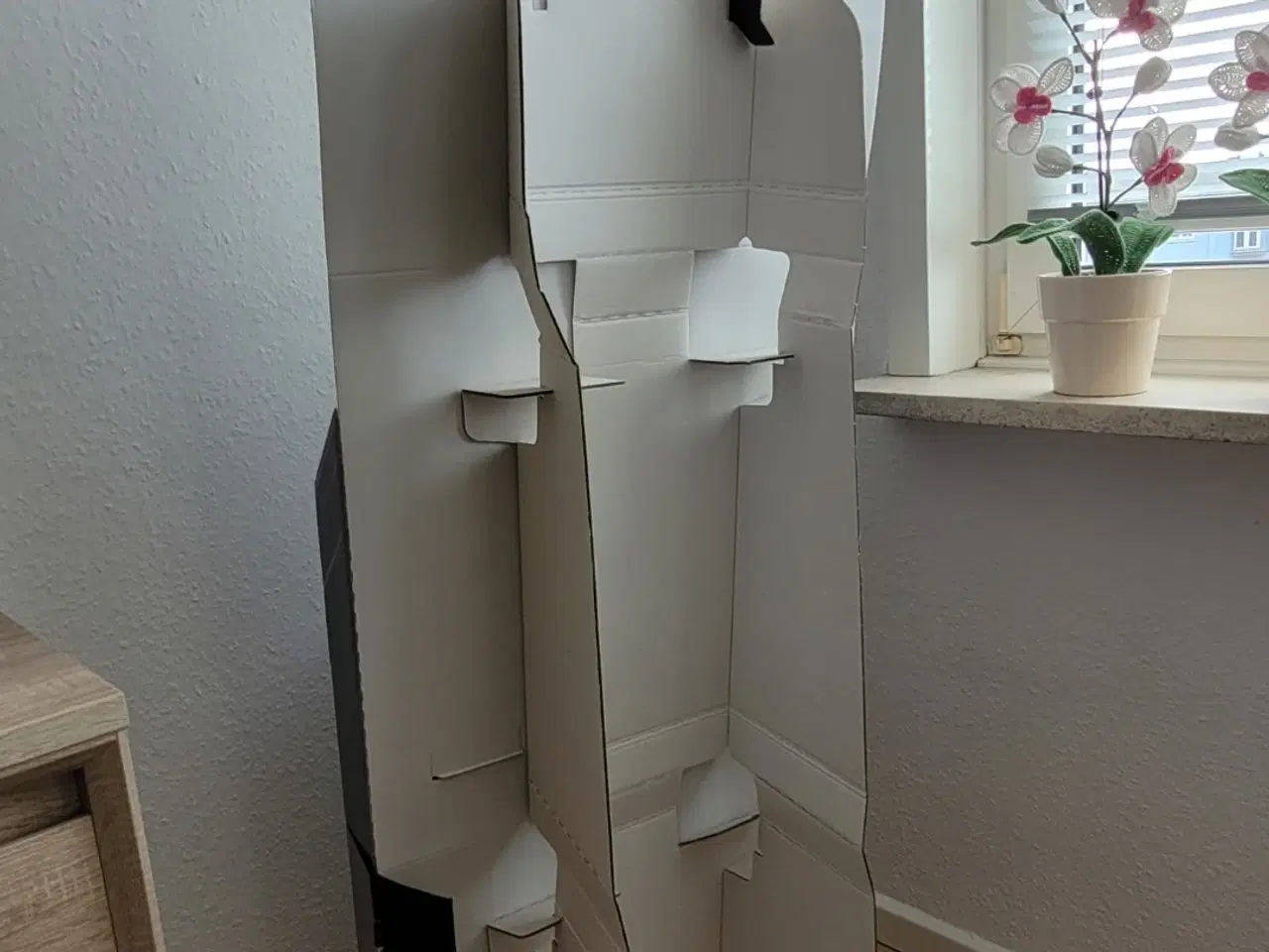 Billede 3 - Ronaldo hjem i stuen