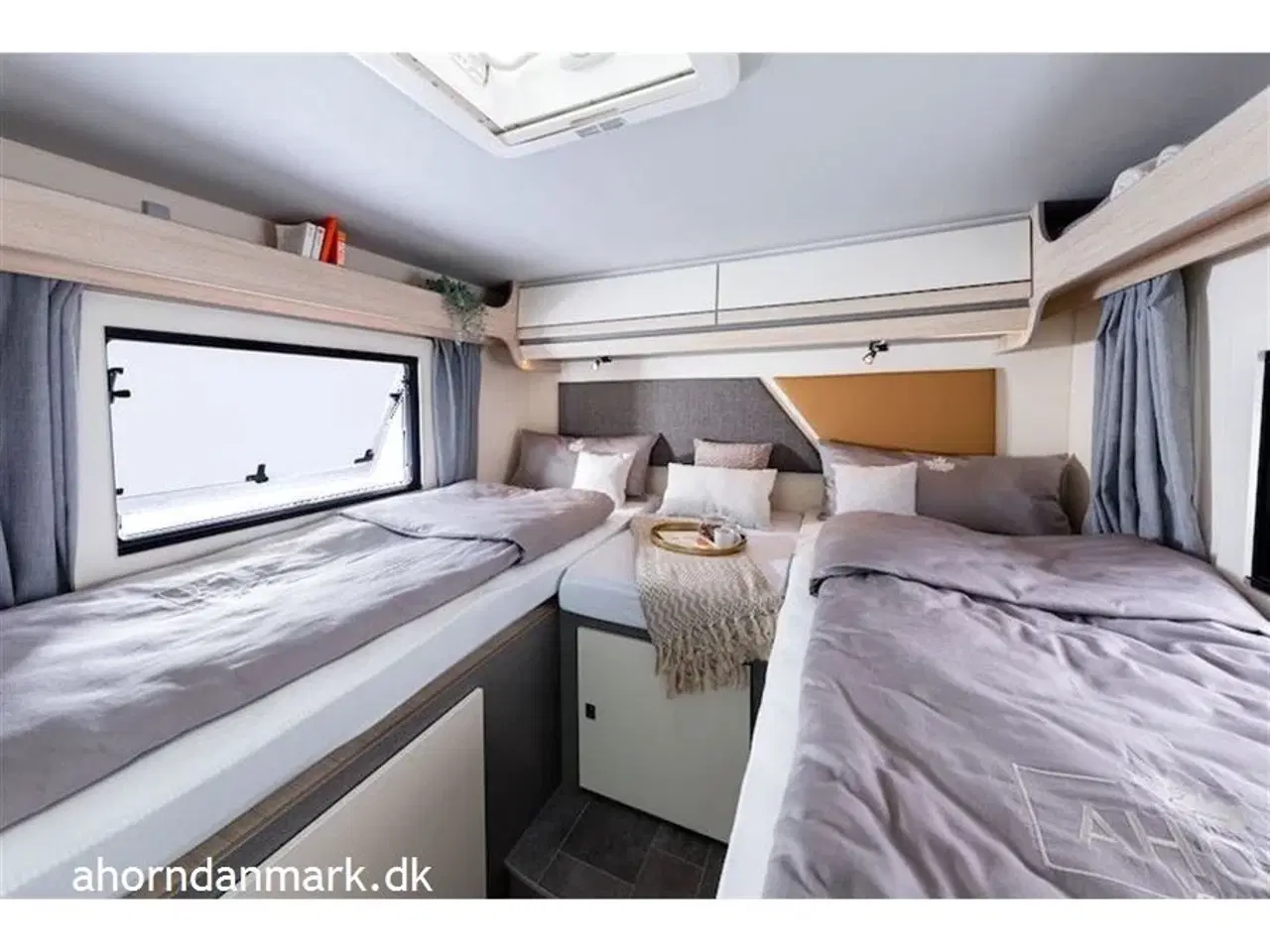 Billede 14 - 2025 - Ahorn Canada AE   Canada AE 2024