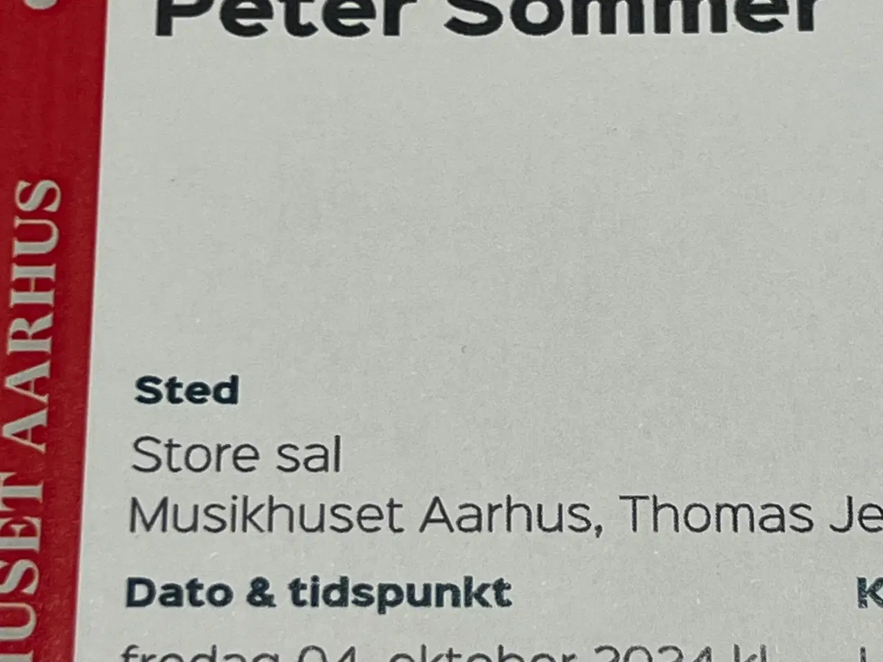 Billede 1 - Peter Sommer