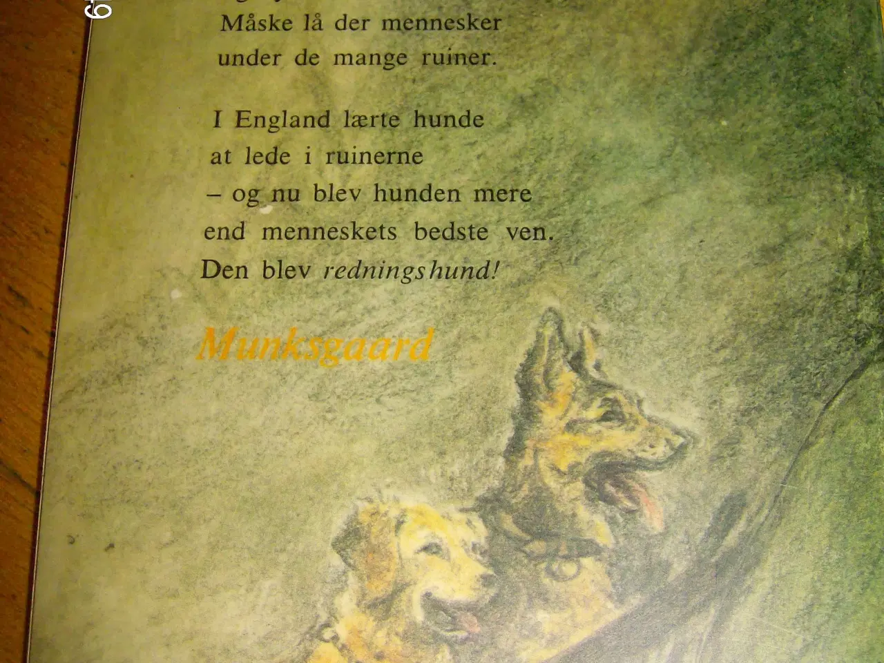 Billede 2 - Hjælp 