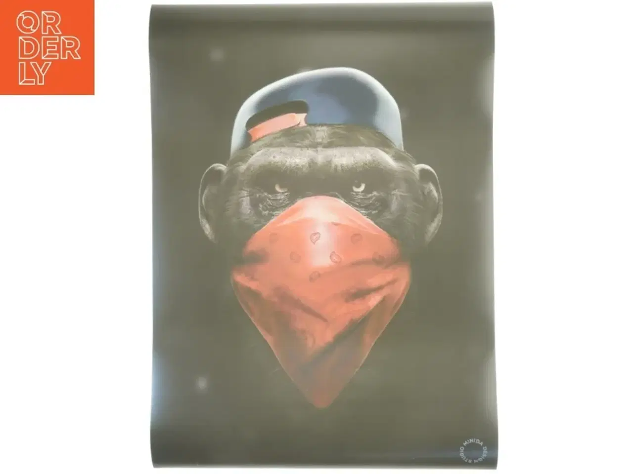 Billede 1 - Plakat med abemotiv fra Minda Design Studio (str. 50 x 70 cm)