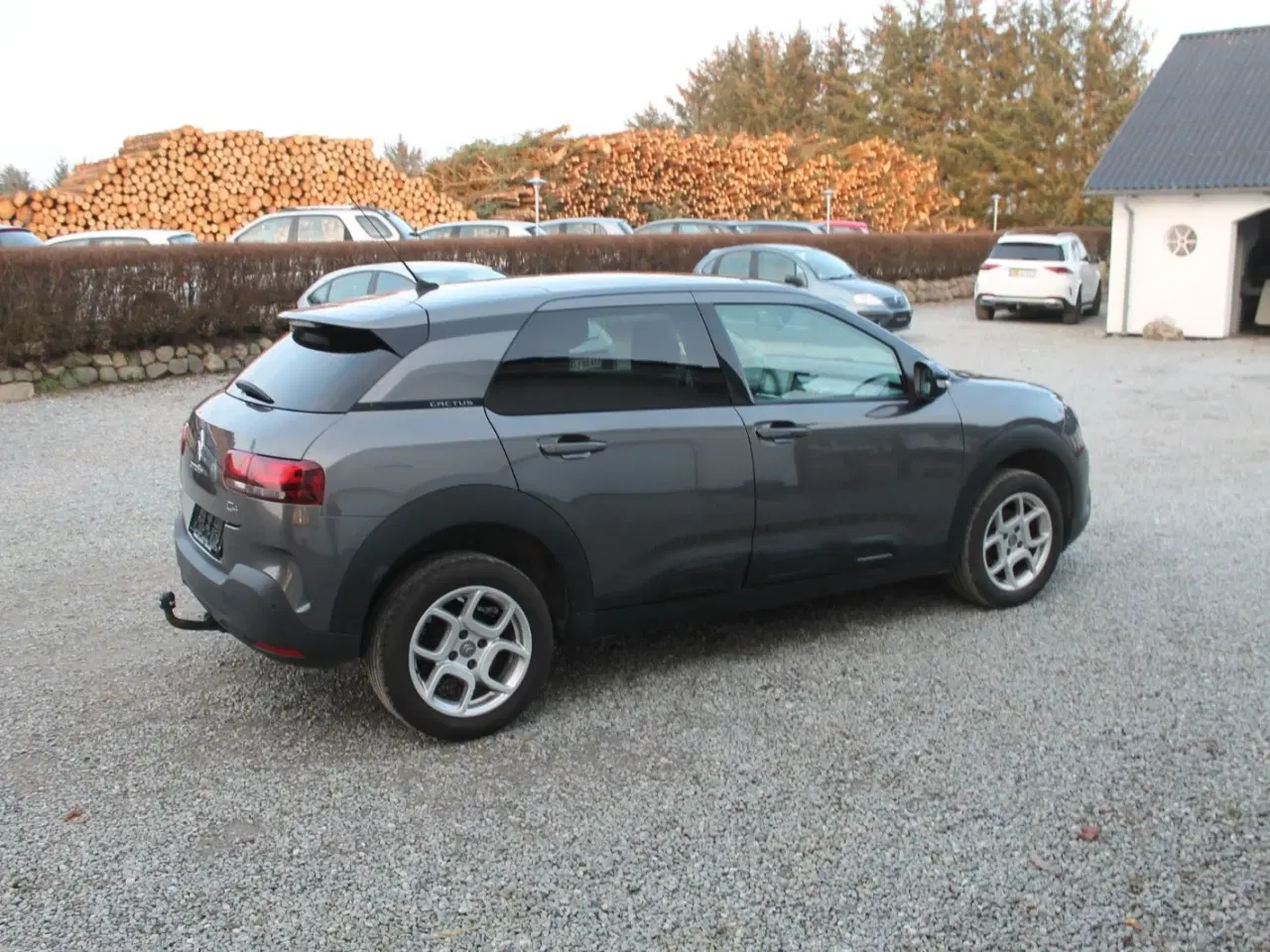 Billede 4 - Citroën C4 Cactus 1,6 BlueHDi 100 Aspire