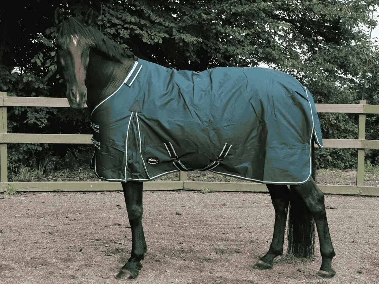 Billede 1 - Udedækken str 95 mulighed for liner / hals 