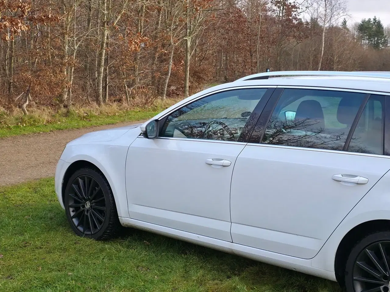 Billede 3 - Skoda Octavia 1,0 TSi 115 Style Combi DSG