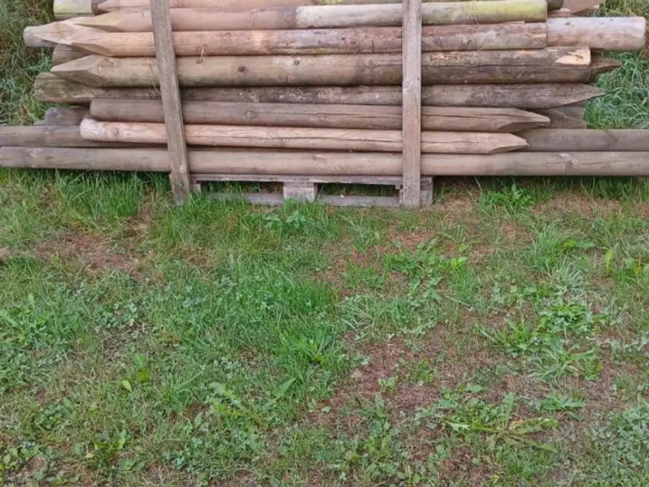 Billede 2 - Hegnspæle, tryk imprægneret, brugte.