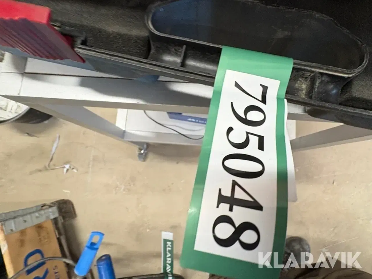 Billede 10 - Jernbukker Edilgrappa