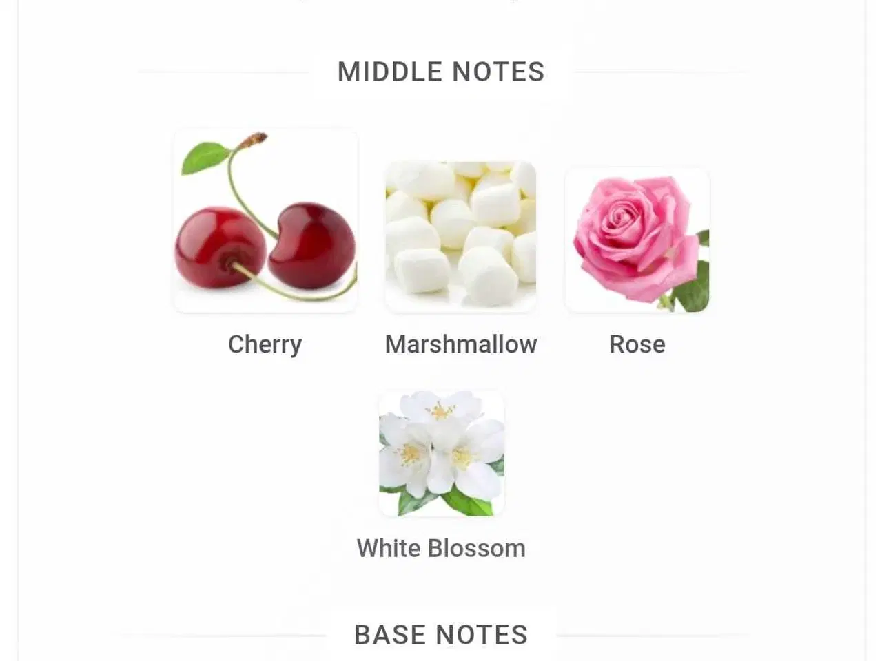 Billede 3 - Cherry Kokomo - Gulf Orchid - 5 ml.