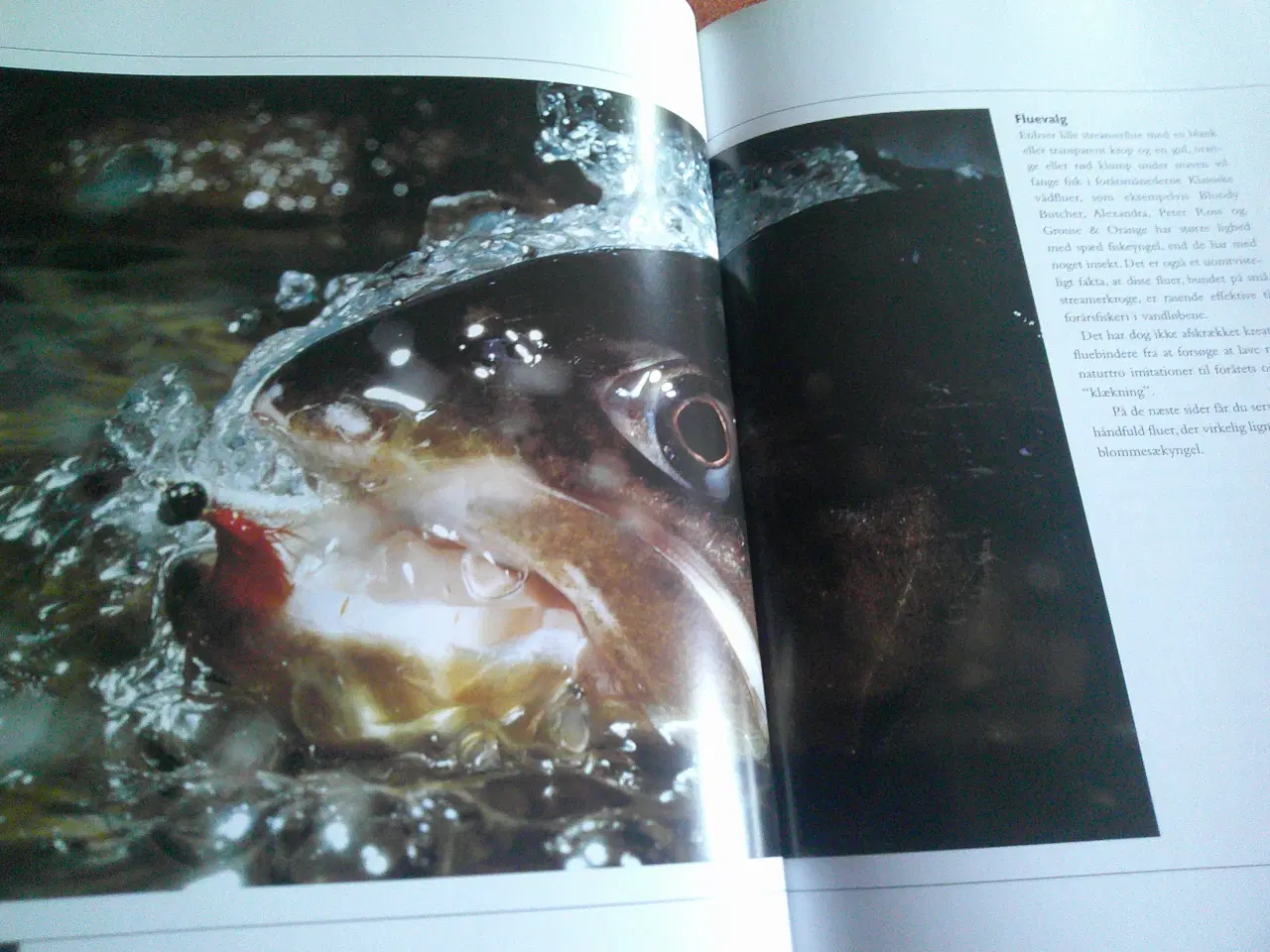 Billede 3 - Fluefiskeri, Michael Jensen