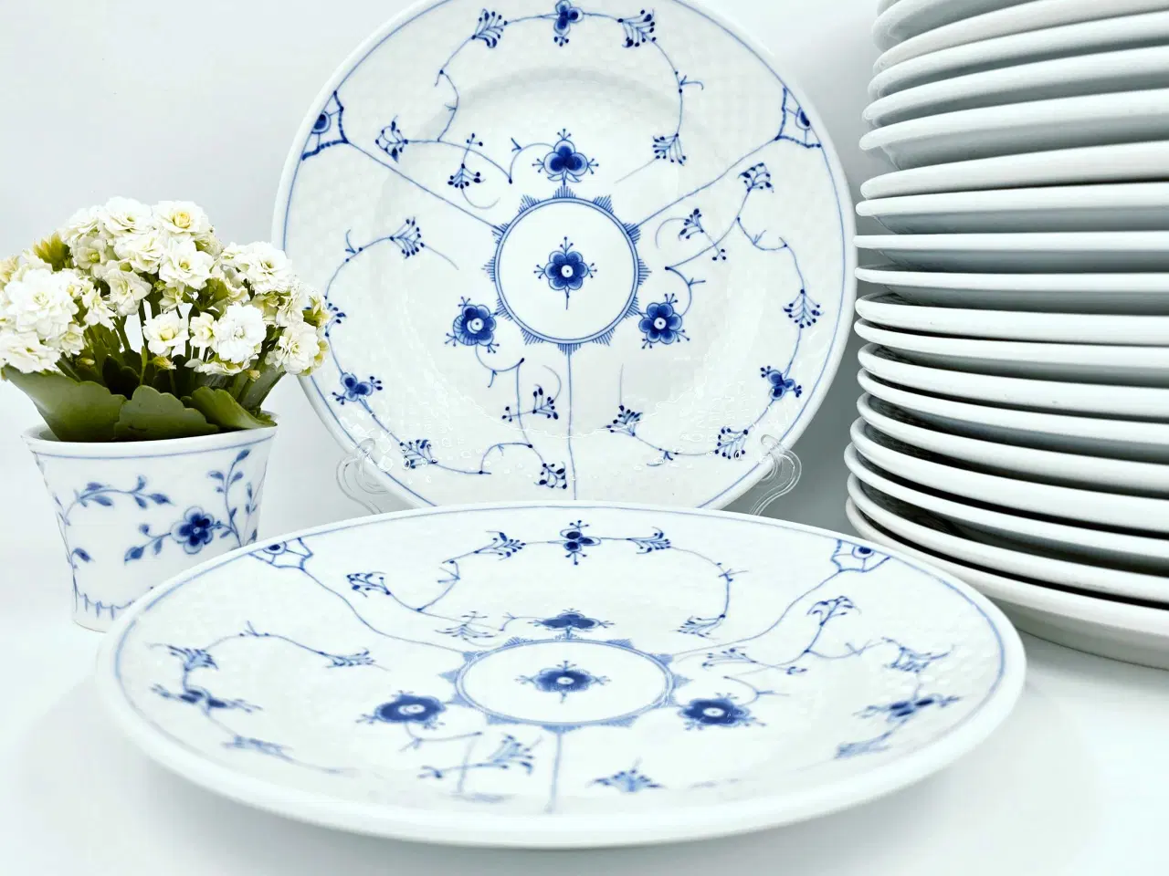 Billede 4 - B&G Musselmalet Hotelporcelæn Middagstallerken 