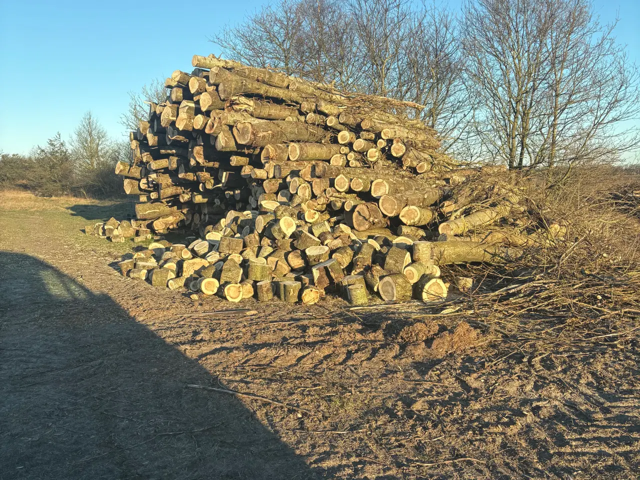 Billede 1 - Brænde til de kolde vintre