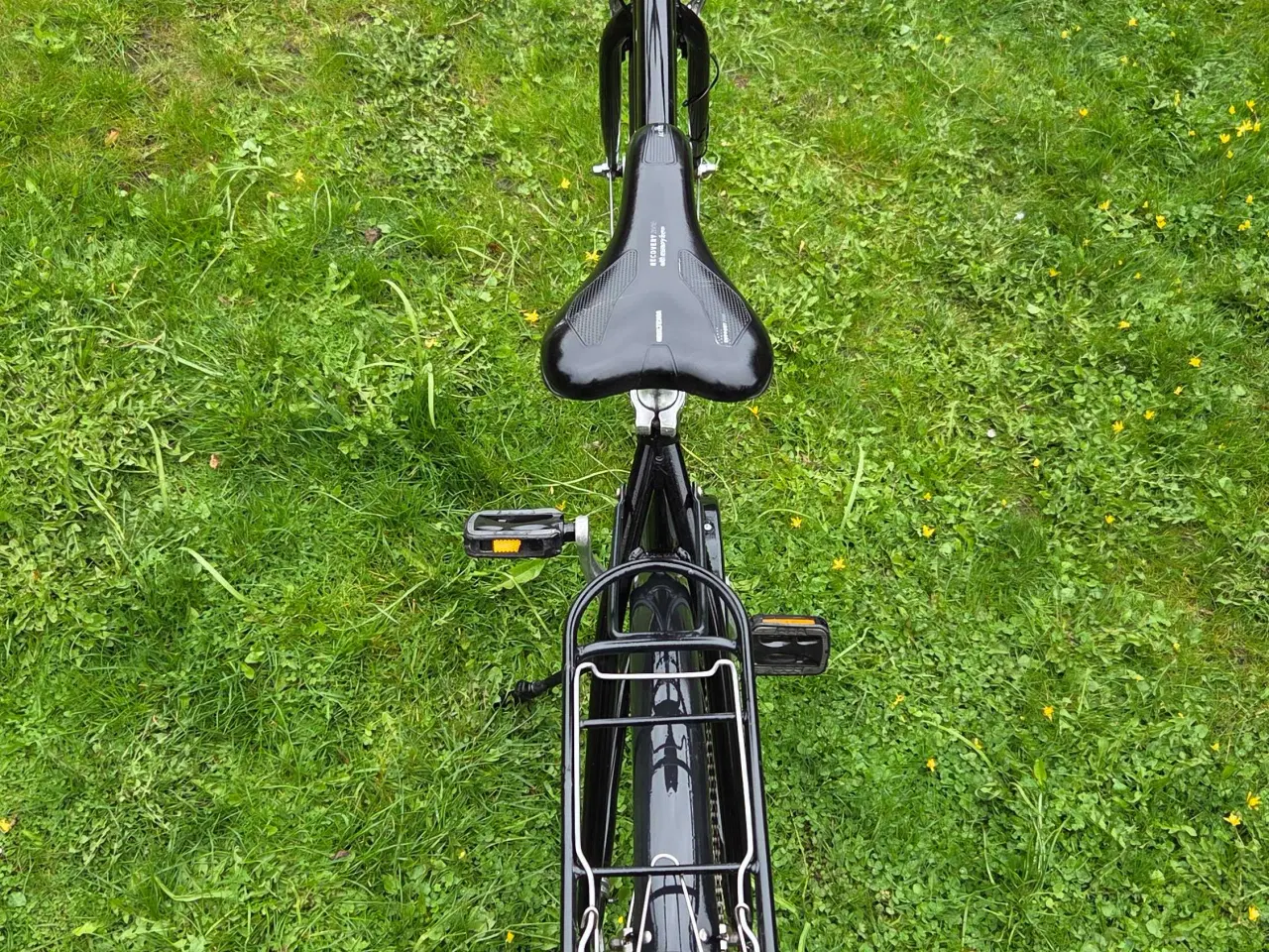 Billede 14 - EVERTON 53 cm 