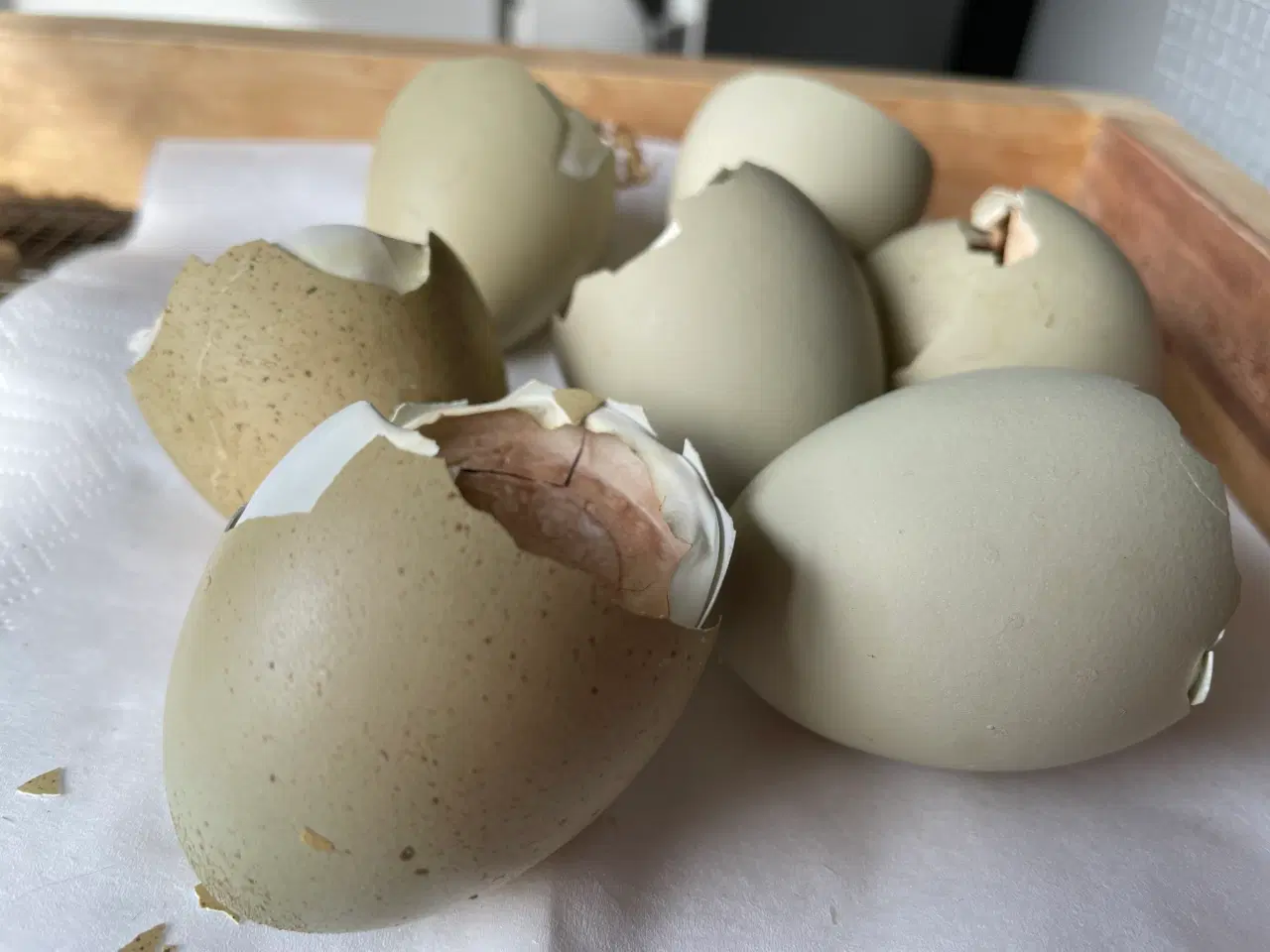 Billede 5 - Silverruds blå, haner