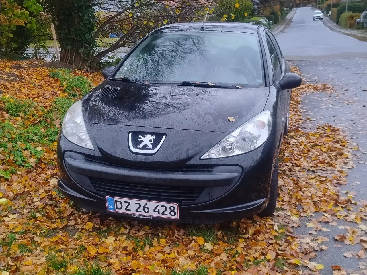 Billede 1 - Peugeot 206 +