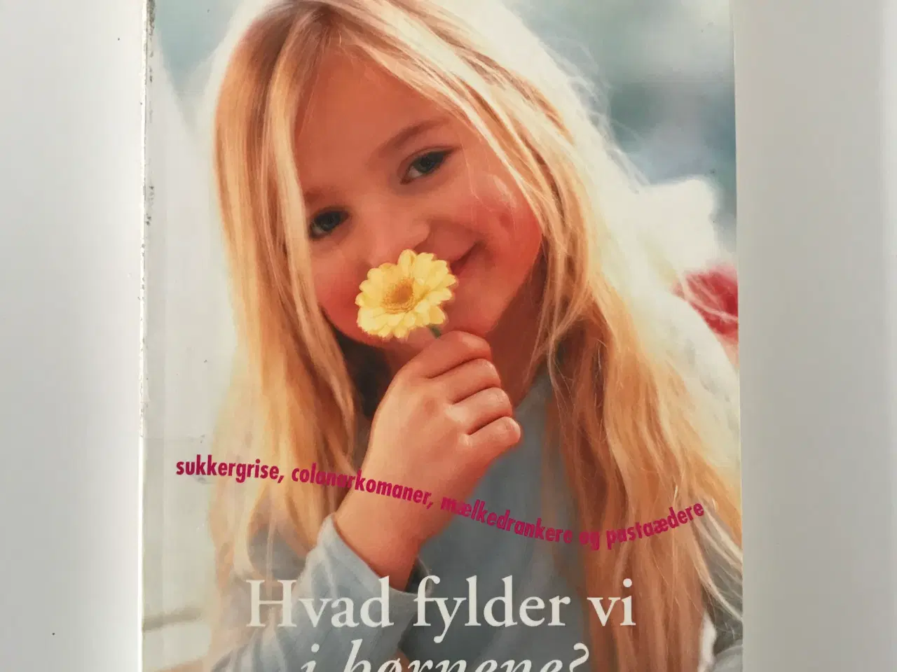 Billede 1 - Hvad fylder vi i børnene