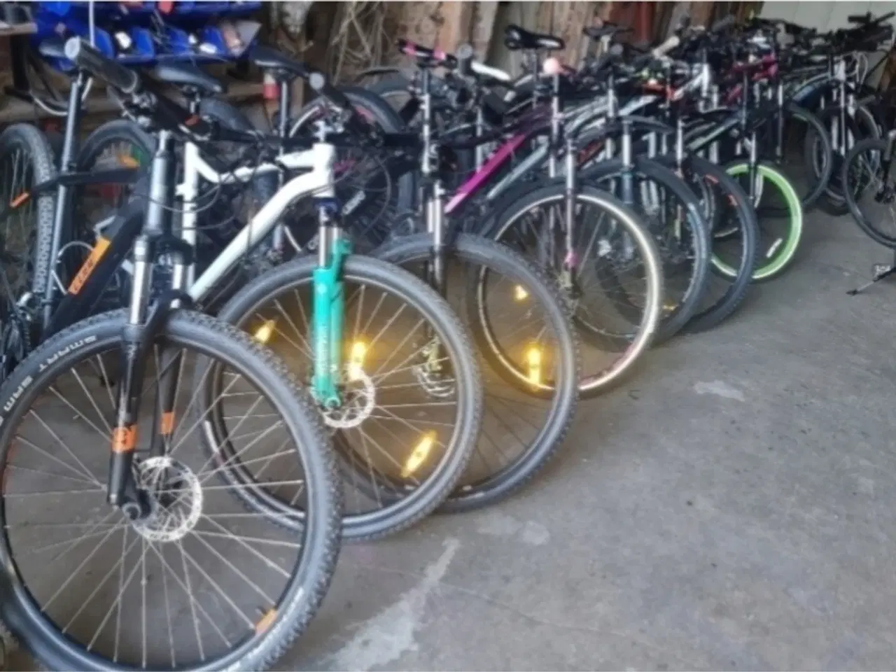Billede 1 - Forskellige MTB op til 29 T XL